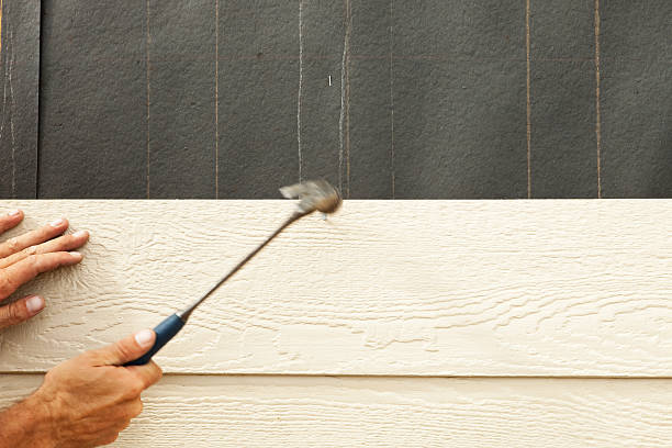 Affordable Siding Repair and Maintenance Services in Rancho Calaveras, CA